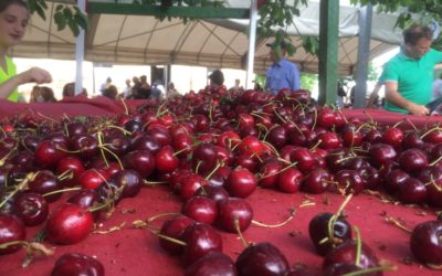 Festa delle Ciliegie – Ravenna, 3 giugno 2018