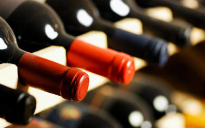 Venendita on line di vino speciale per acquistare un cane guida – LC Ravenna Romagna Padusa