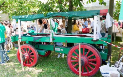 Festa delle ciliegie – LC Ravenna Romagna Padusa, 9 giugno