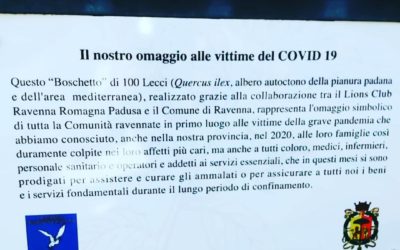 Service ambiente – LC Ravenna Romagna Padusa, 25 novembre 2020