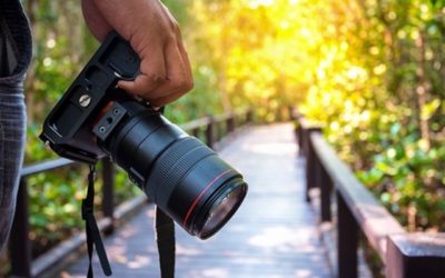 Concorso fotografico – LC Termoli Tifernus, 7 aprile 2021