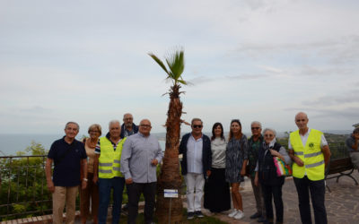 Messa a dimora di una palma – LC Vasto Adriatica Vittoria Colonna, 20 settembre 2021