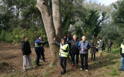 Bosco Lions – LC della 5° 6° e 7° Circ, 2 novembre 2021