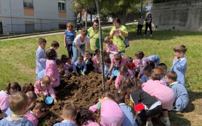 3 alberi per salvare il pianeta – LC Giulianova, 30 maggio 2023