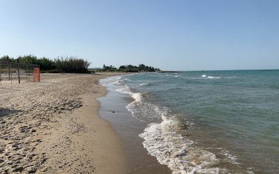 Ambiente – LC Giulianova e Roseto degli Abruzzi Valle del Vomano, 29 ottobre 2023