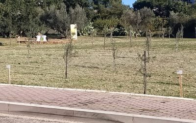 Piantumazione – LC Termoli Tifernus, 29 ottobre 2023