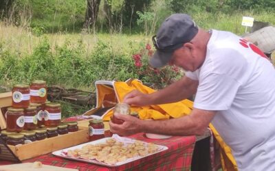Biodiversità – LC Termoli Host, 18 maggo 2024