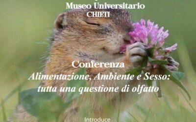 Alimentazione, Ambiente e Sesso – LC Chieti Host, LC Chieti “I Marrucini”, 2 aprile 2025