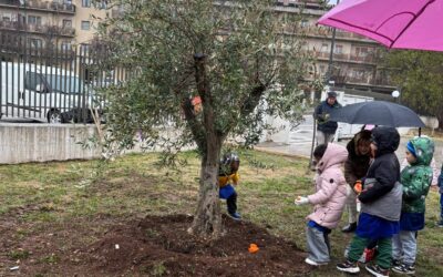 Piantumazione di ulivi – LC Avezzano, 26 novembre 2025