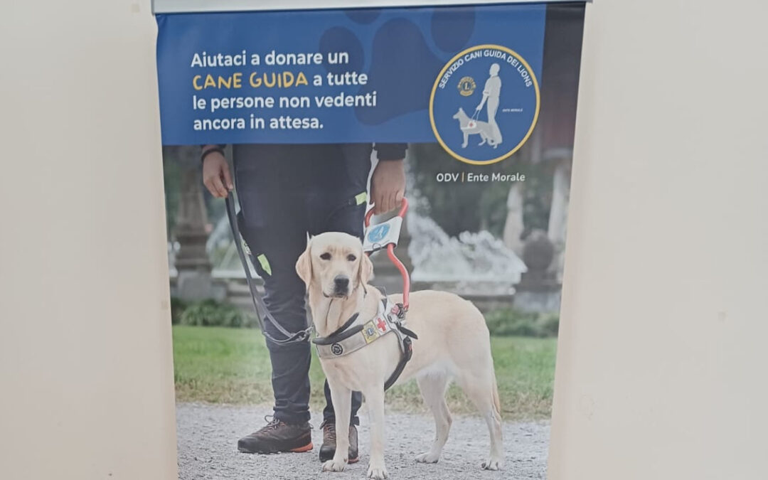 Torneo di Burraco &ndash; LC Osimo, 22 marzo 2026